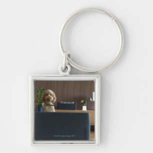 Een hond in de rijkamer sleutelhanger
