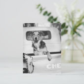 Een hond in een auto briefkaart (Staand voorkant)