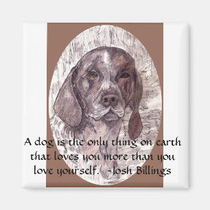 Een hond is magneet 2