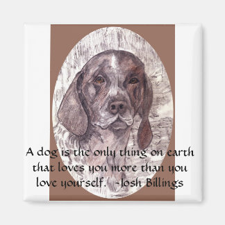Een hond is magneet 2