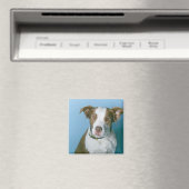 Een hond magneet (Insitu (Vaatwasser))
