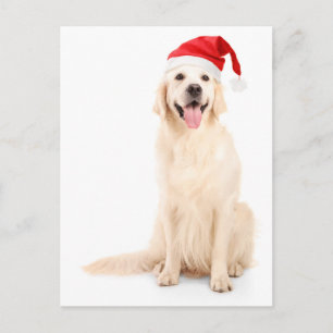 Een hond met een kerst Pet Feestdagenkaart