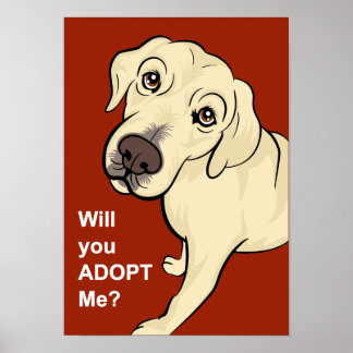 Een hond-Poster aannemen Poster