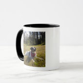 Een hond rust na een wandeling naar Jefferson Park Mok (Voorkant links)