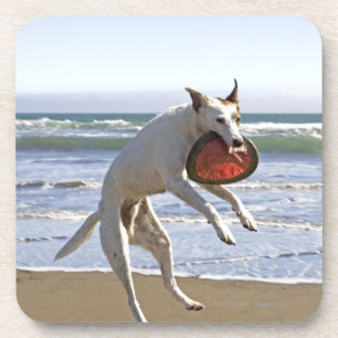 Een hond springt naar een frisbee op het strand bier onderzetter