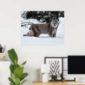 Een Hongaars Canadees Lynx in de sneeuw Poster (Thuiskantoor)