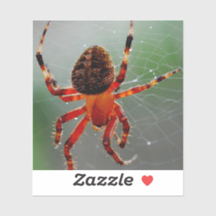 Een hongerige spin wacht sticker