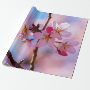 Een hoop Sakura-bloemen in een schaduw van een boo Cadeaupapier