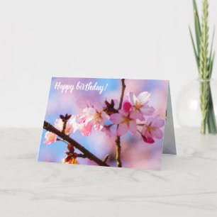 Een hoop Sakura-bloemen in een schaduw van een boo Kaart