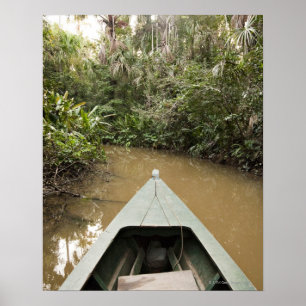 Een houten kano gemaakt van Eucylptusboomvlotten i Poster
