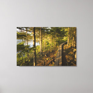 Een houten loopbrug in Acadia National Park Maine Canvas Afdruk