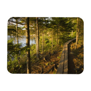 Een houten loopbrug in Acadia National Park Maine Magneet