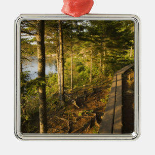 Een houten loopbrug in Acadia National Park Maine Metalen Ornament