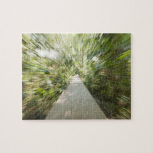 Een houten pad door het regenwoud in krullend legpuzzel
