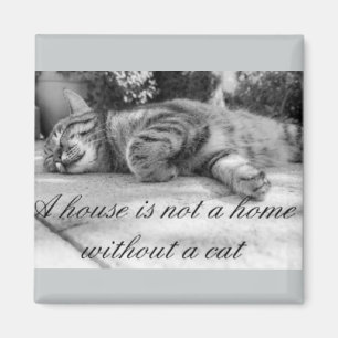 Een huis is geen thuis zonder kattenmagneet. magneet