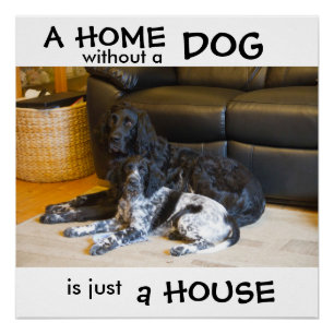Een huis zonder hond is gewoon een huis - wanddeco perfect poster