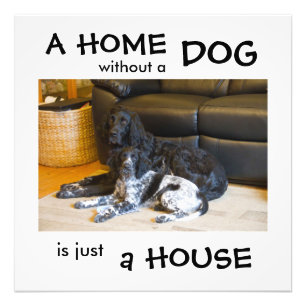 Een huis zonder hond is slechts een huis - wanddec foto afdruk