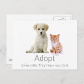 een huisdier briefkaart (Voorkant / Achterkant)