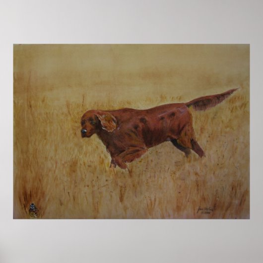 Een Ierse feestdag Poster (Voorkant)