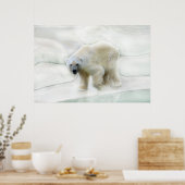 Een ijskoude polaire beren poster (Keuken)