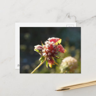 Een ijzige bloem briefkaart