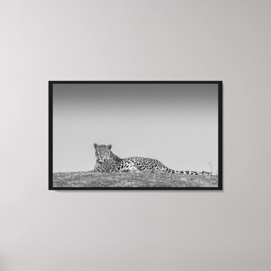 Een Illusive Leopard Zwart & Wit Canvas Wall Art Afdruk (Voorkant)