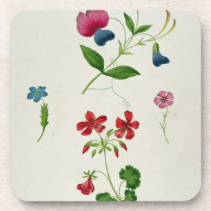 Een illustratie uit 'A New Treatise on Flower Pai' Bier Onderzetter