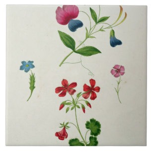 Een illustratie uit 'A New Treatise on Flower Pai' Tegeltje