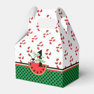 Eén in een Melon Picnic Ant met Watermelon Bedankdoosjes