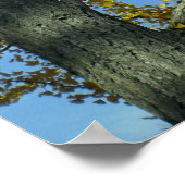 Een inkgoboom in Tendo Poster (Hoek)