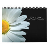 Een jaar Afbeelding Kalender (Hoes)