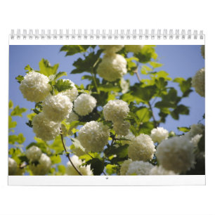 een jaar bloemen kalender