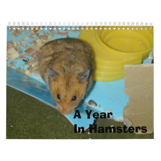 Een jaar in Hamsters 2010 Kalender (Hoes)