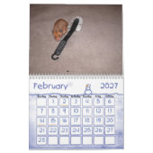 Een jaar in Hamsters 2010 Kalender (Feb 2027)