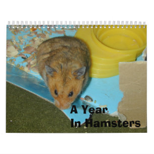 Een jaar in Hamsters 2010 Kalender