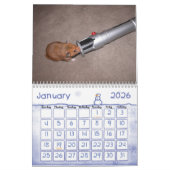 Een jaar in Hamsters 2010 Kalender (Jan 2026)