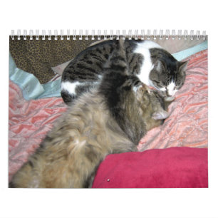 Een jaar kitty katten kalender