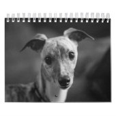 Een jaar lang Enzo Kalender (Hoes)