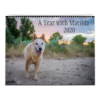 Een jaar met Matilda: Agenda 2020 Kalender