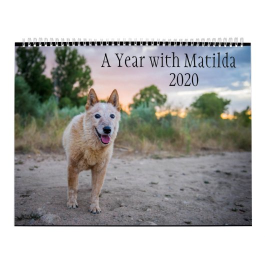 Een jaar met Matilda: Agenda 2020 Kalender (Hoes)