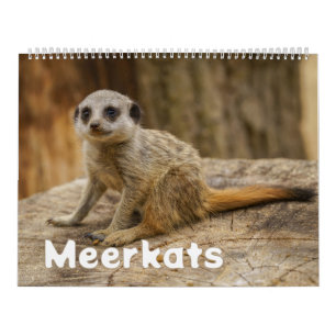 Een jaar met meerkatten kalender