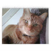 Een jaar met sleutel kalender (Hoes)