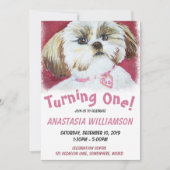 Een jaar oude Shih Tzu uitnodigen Kaart (Voorkant)