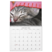 Een jaar spuitbussen kalender (Jan 2026)