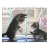 Een jaar spuitbussen kalender (Hoes)