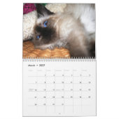 Een jaar spuitbussen kalender (Mar 2027)