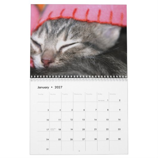 Een jaar spuitbussen kalender (Jan 2027)