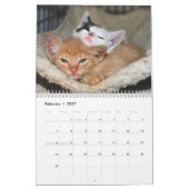 Een jaar spuitbussen kalender (Feb 2027)