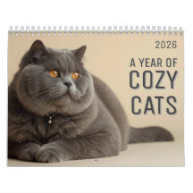 Een Jaar van Knusse Katten Kalender