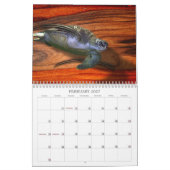 EEN JAAR VAN NATUUR KALENDER (Feb 2027)